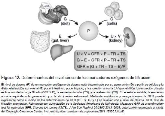 Nivel sérico de los marcadores exógenos de filtración Nivel sérico de los marcadores exógenos de filtración