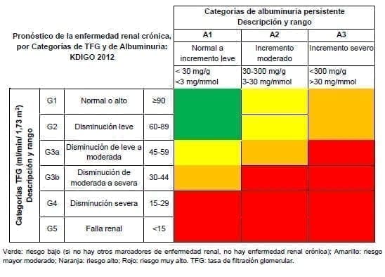 Pronóstico de la enfermedad renal crónica Pronóstico de la enfermedad renal crónica