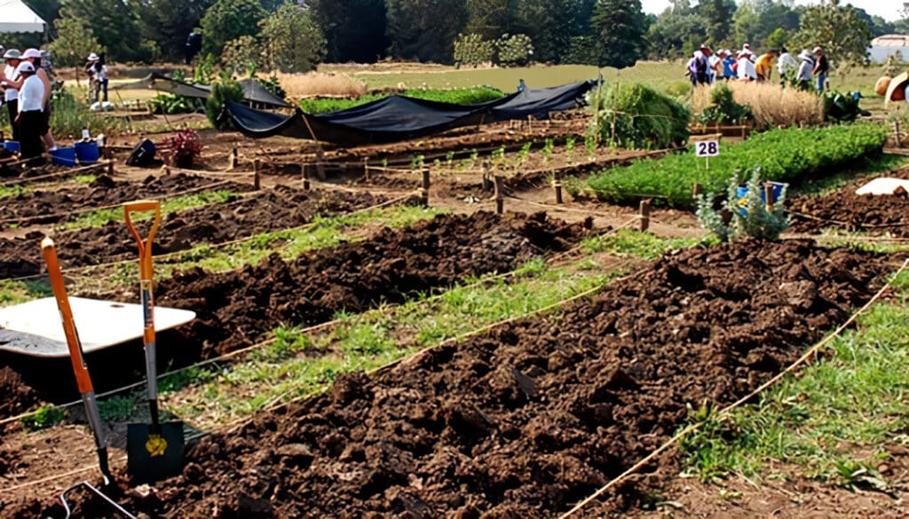 Agricultura Biointensiva