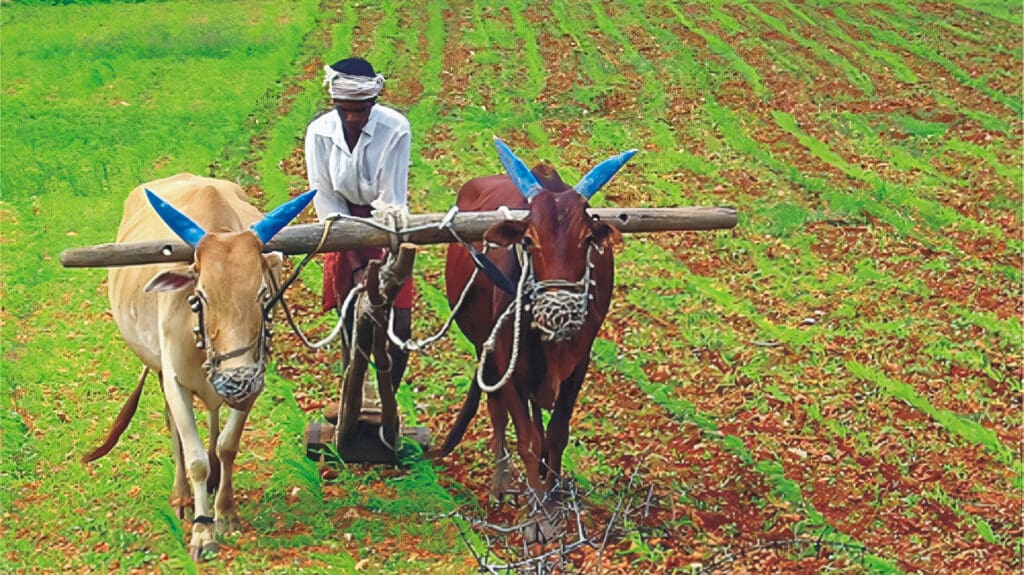 Agricultura Tradicional