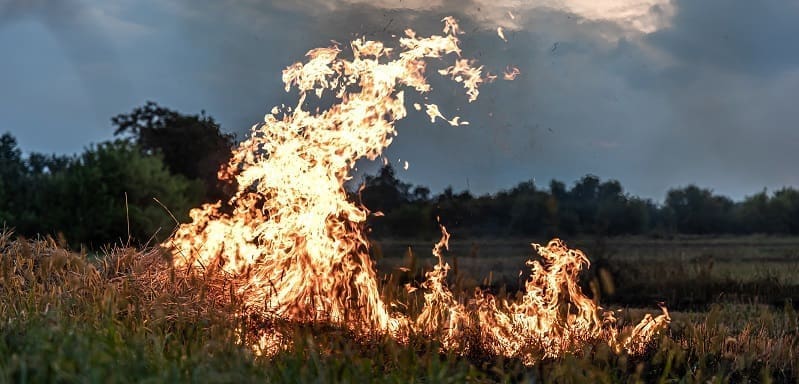 Agricultura migratoria quema de cultivos