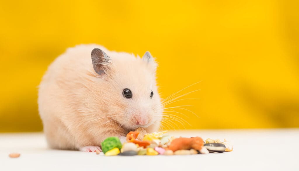 Alimentos Naturales para Hámsters