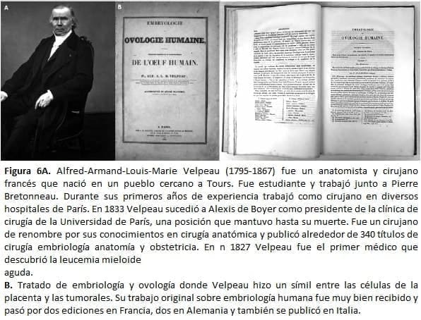Alfred-Armand-Louis-Marie Velpeau (1795-1867) fue un anatomista y cirujano francés Alfred-Armand-Louis-Marie Velpeau (1795-1867) fue un anatomista y cirujano francés