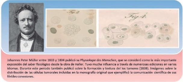 Johannes Müller, La Naturaleza y Características Estructurales del Cáncer