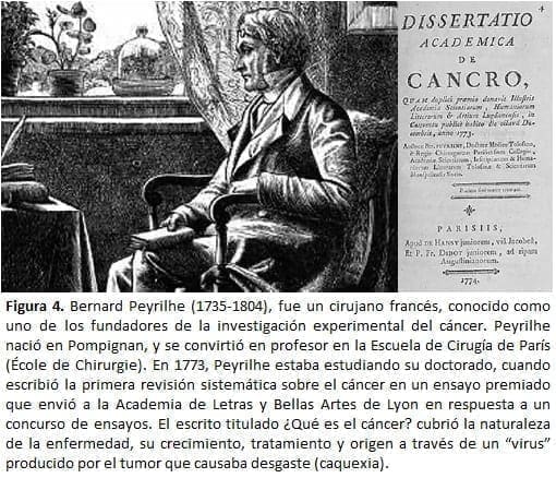 Bernard Peyrilhe (1735-1804) Bernard Peyrilhe (1735-1804)