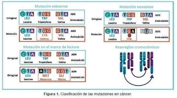Clasificación de las mutaciones en cáncer