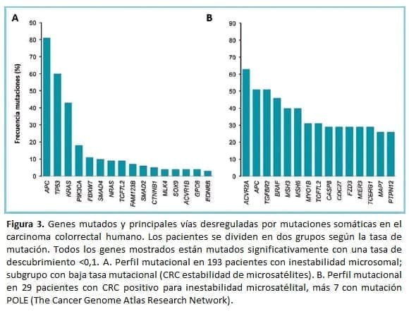 Genes mutados y principales vías desreguladas por mutaciones somáticas Genes mutados y principales vías desreguladas por mutaciones somáticas