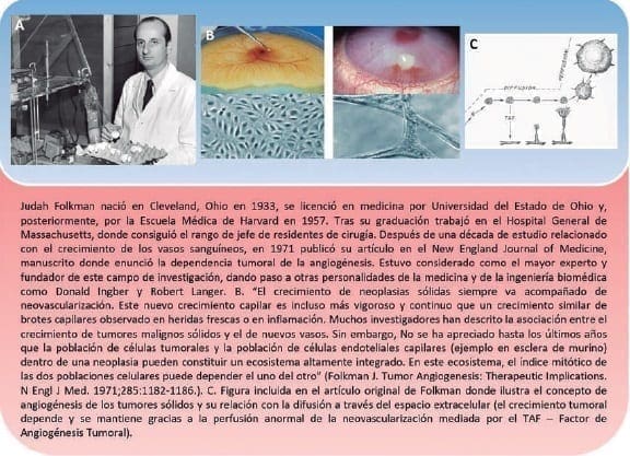 Dr. Judah Folkman describe la angiogénesis tumoral