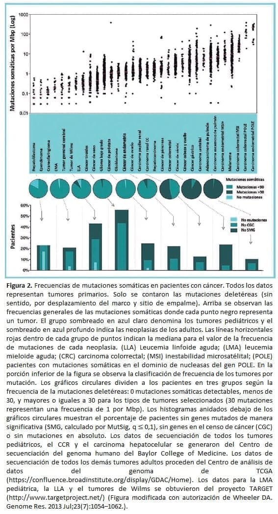 Frecuencias de mutaciones somáticas en pacientes con cáncer Frecuencias de mutaciones somáticas en pacientes con cáncer