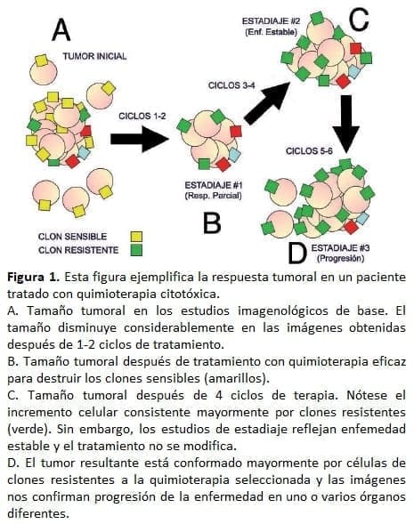 Paciente tratado con quimioterapia citotóxica Paciente tratado con quimioterapia citotóxica