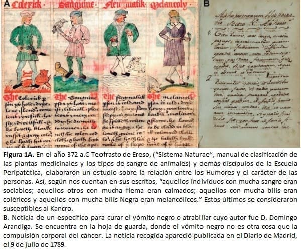 En el año 372 a.C Teofrasto de Ereso, (“Sistema Naturae”