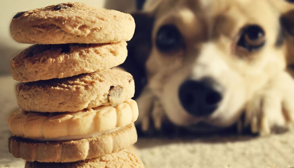 Galletas Caseras para Perros
