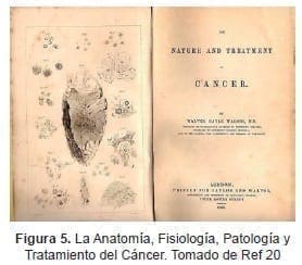 Anatomía, Fisiología, Patología y Tratamiento del Cáncer Anatomía, Fisiología, Patología y Tratamiento del Cáncer