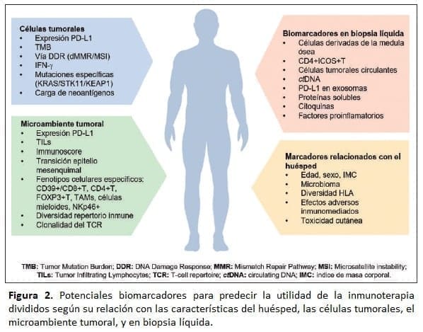 Potenciales biomarcadores para predecir la utilidad de la inmunoterapia Potenciales biomarcadores para predecir la utilidad de la inmunoterapia