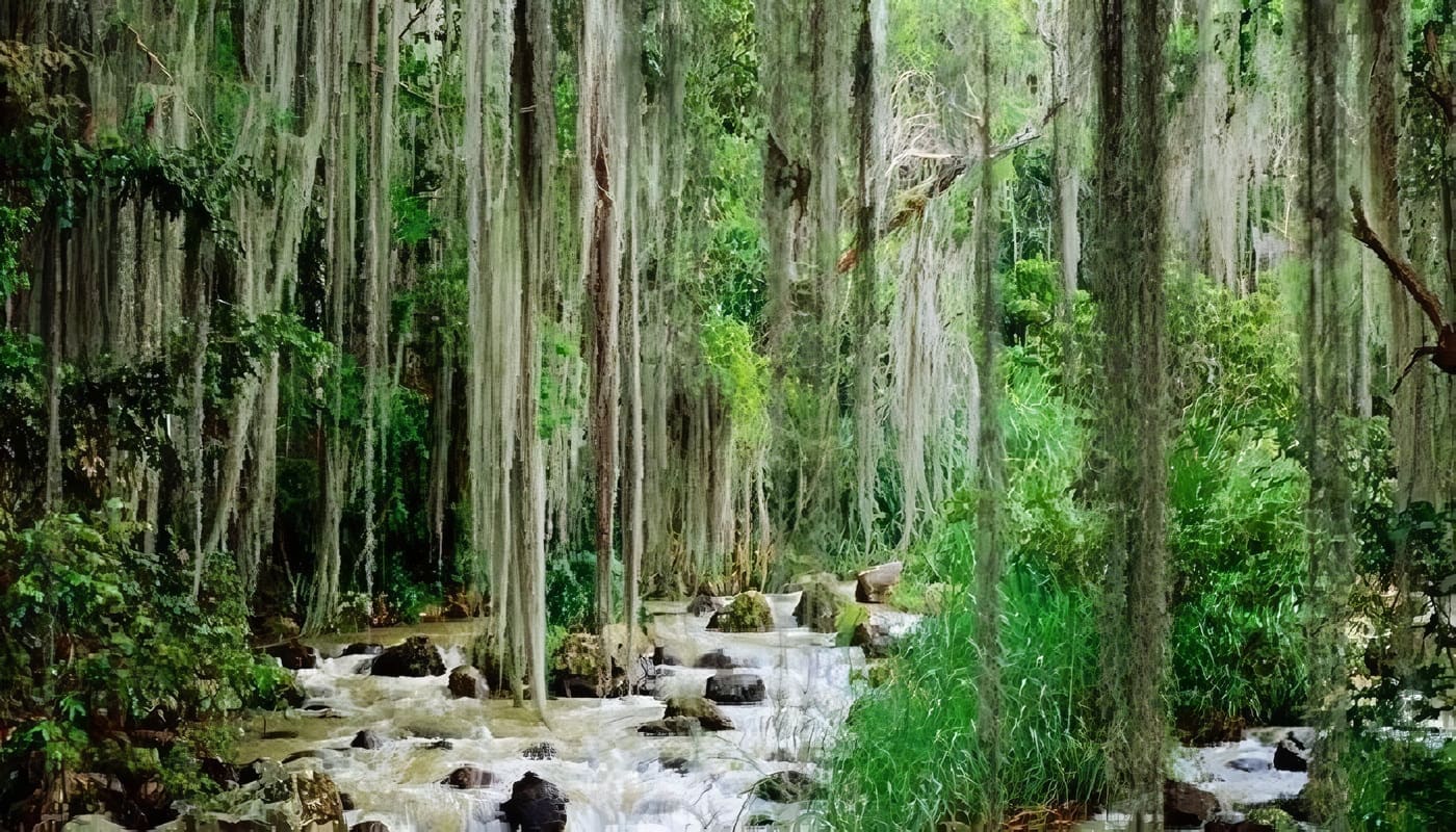 Ecoturismo San Gil
