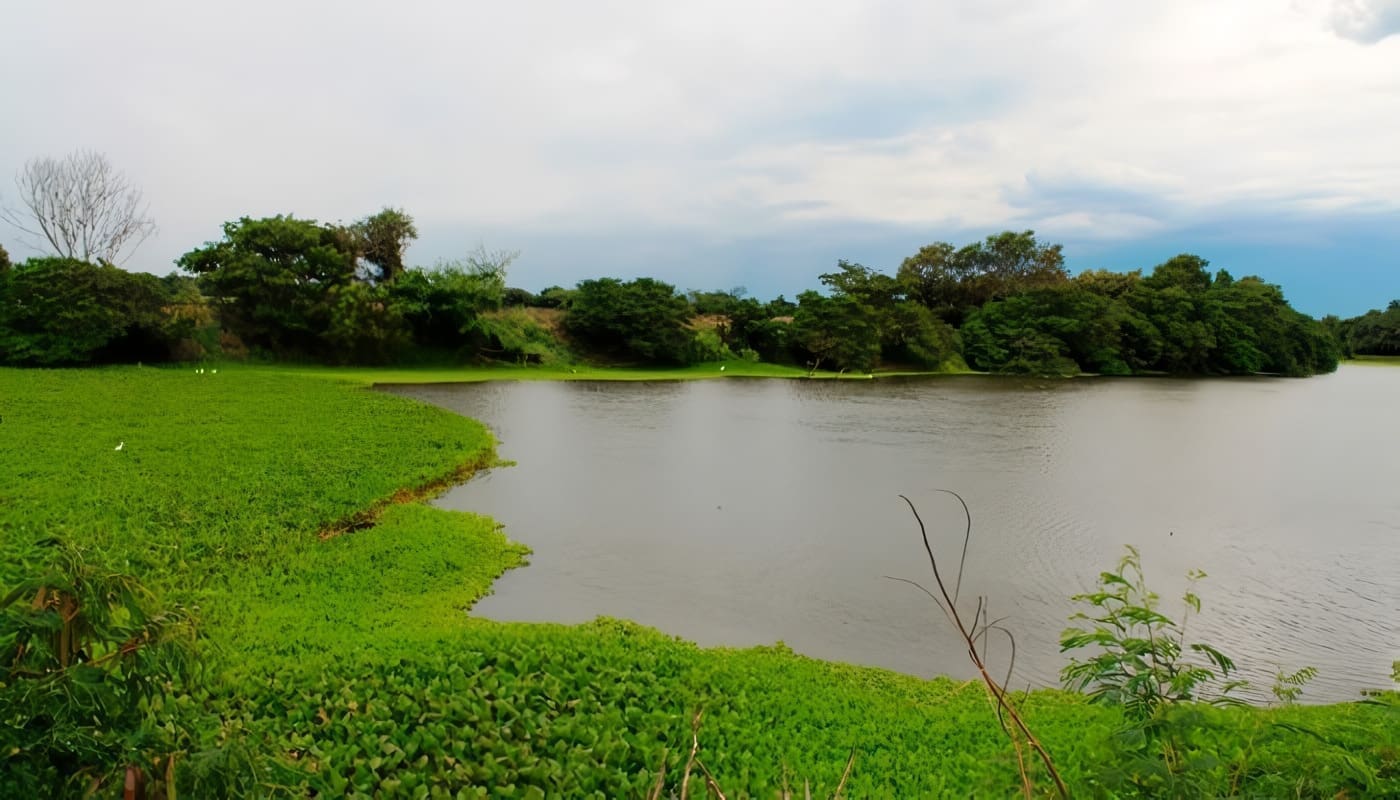 Política Nacional para Humedales Interiores de Colombia