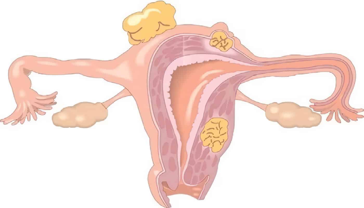 Ginecología y la Historia de la Clínica de Maternidad