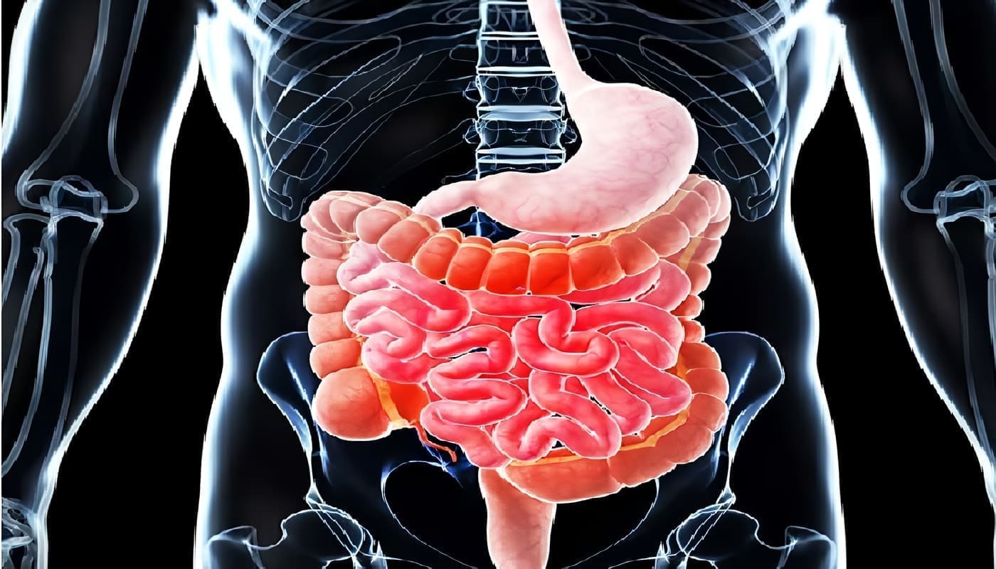 Gastroenterología