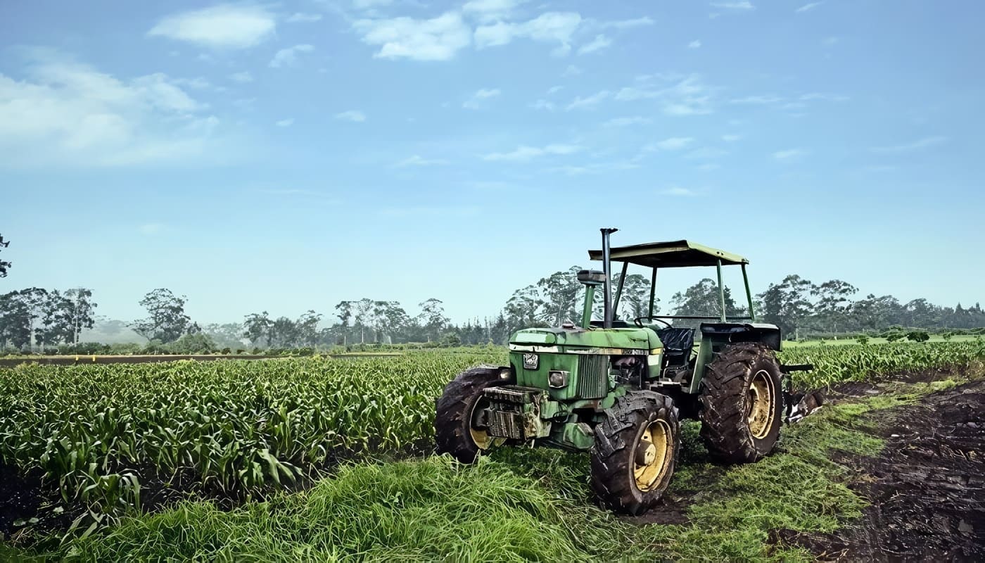 Temas de agroindustria - Categoría