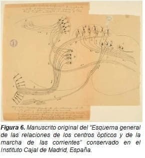 Manuscrito original del “Esquema general de las relaciones de los centros ópticos y de la marcha de las corrientes” Manuscrito original del “Esquema general de las relaciones de los centros ópticos y de la marcha de las corrientes”