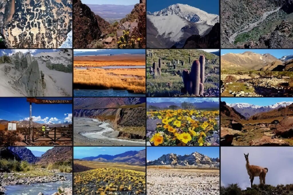 Áreas Naturales Protegidas