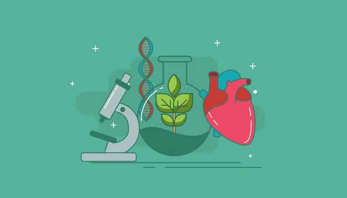 Biología: Qué Es, Importancia, Tipos e Historia