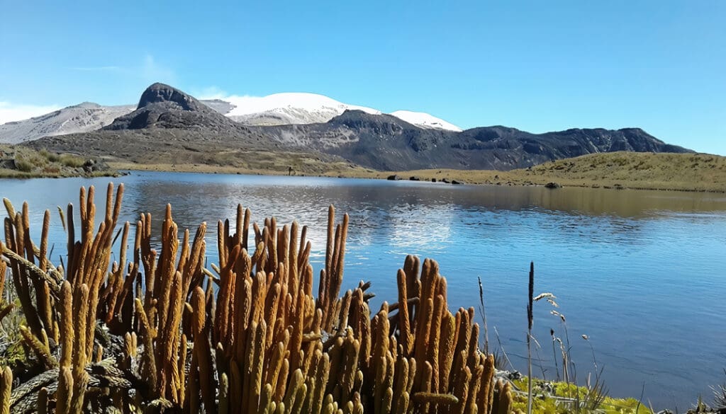 Páramo de Sumapaz en Colombia