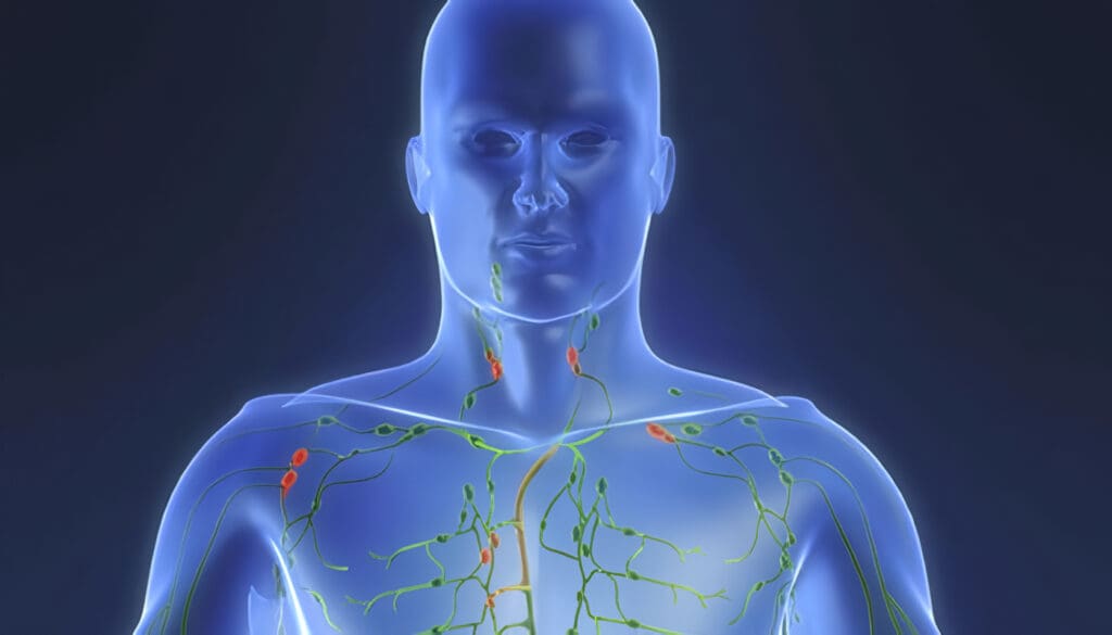 Sistema Linfático del Cuerpo Humano