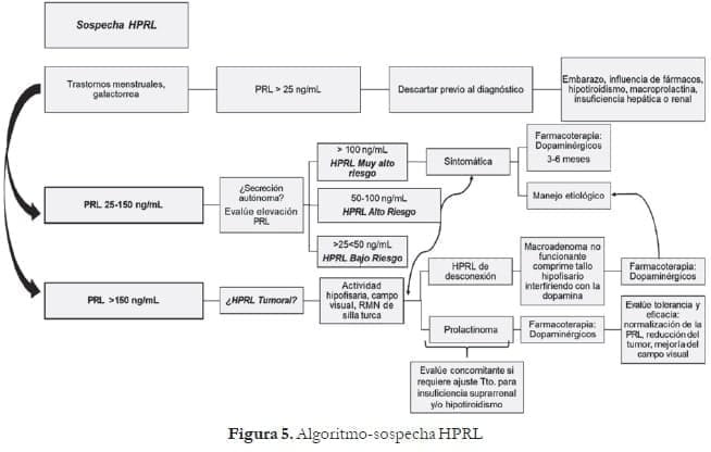 Algoritmo-sospecha HPRL Algoritmo-sospecha HPRL