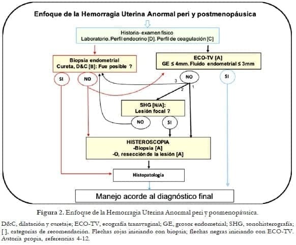Enfoque de la hemorragia uterina anormal perimenopáusica y posmenopáusica Enfoque de la hemorragia uterina anormal perimenopáusica y posmenopáusica