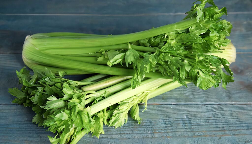 Cultivo de Apio