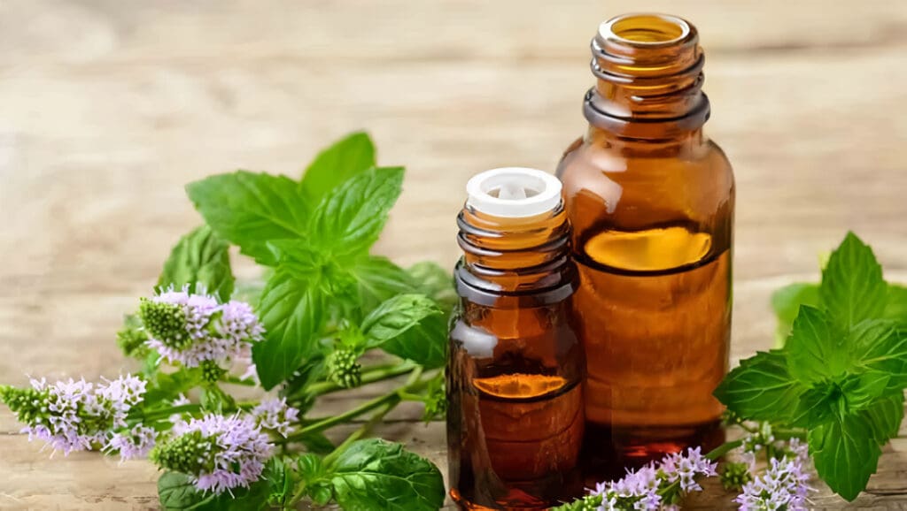 Aromaterapia con Aceite Esencial de Menta