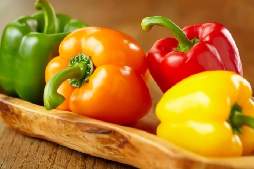 Cultivo de Pimiento