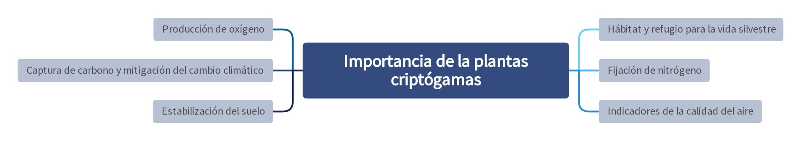 Importancia de la plantas criptógamas