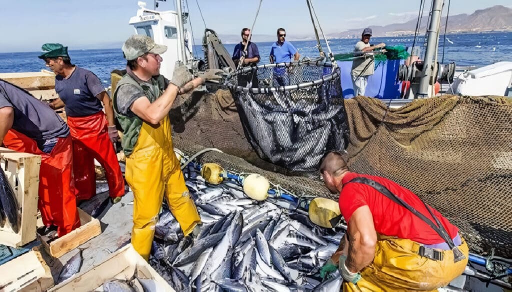 Impacto Ambiental de la Pesca