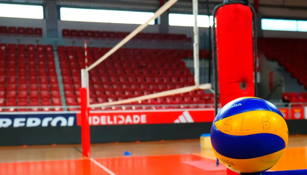 Voleibol