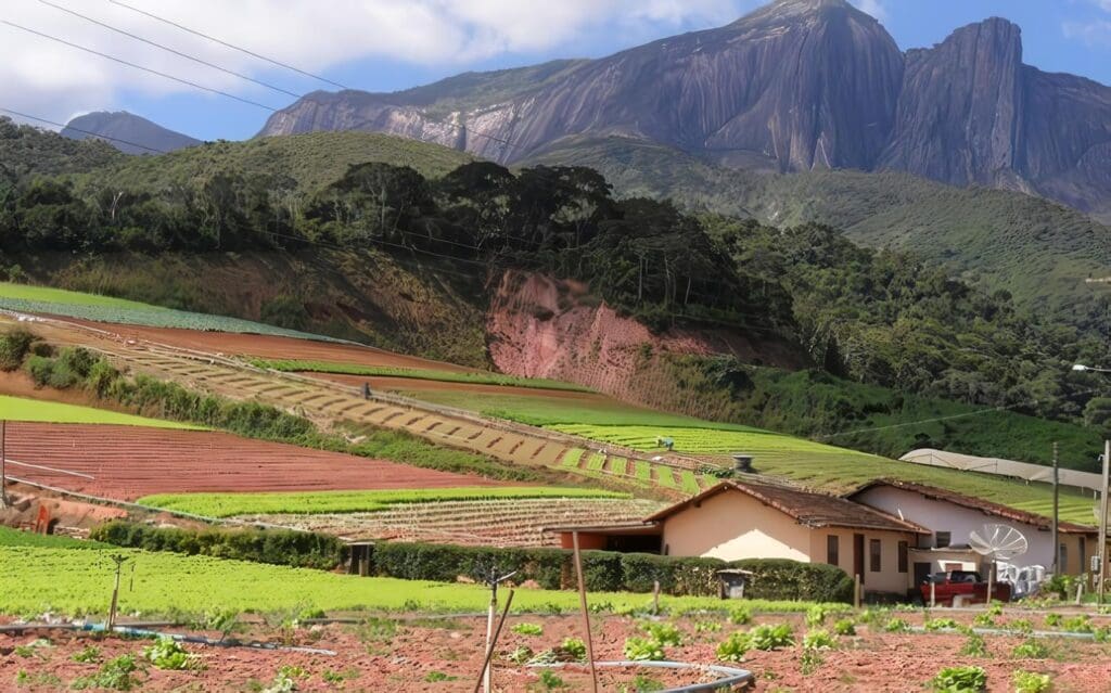 Principios de la Agroecología