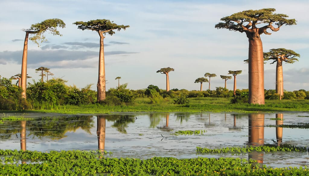 Geografía de Madagascar