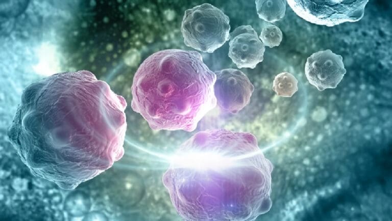 Autofagia beneficios