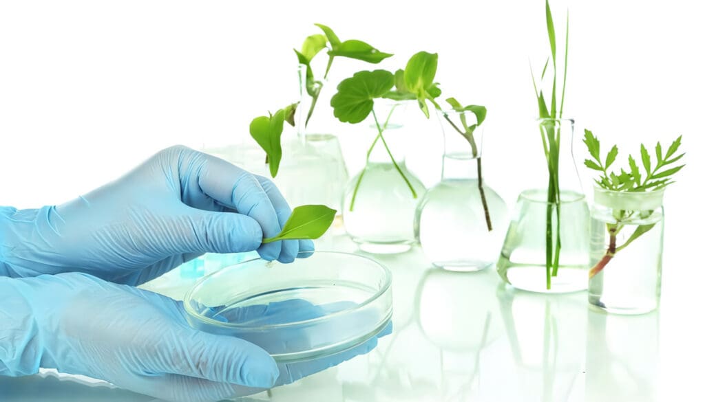 Beneficios de la Biotecnología