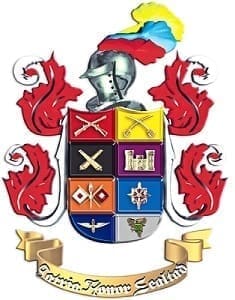 Ejército Nacional de Colombia Logo