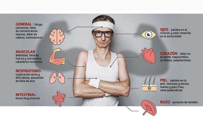 La deficiencia de hierro