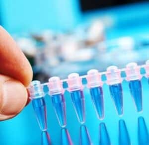 analisis de prueba de paternidad