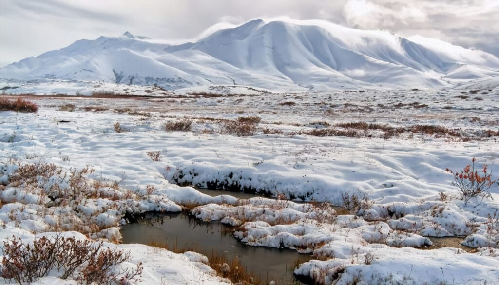 Qué son las tundras