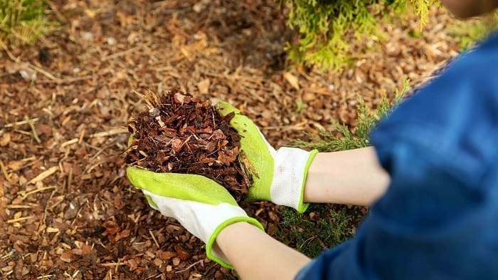Beneficios del Mulching