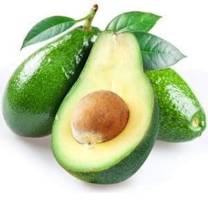 Fuerte avocado