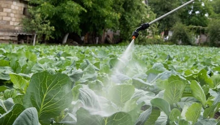 Herbicidas para el Control de Malas Hierbas