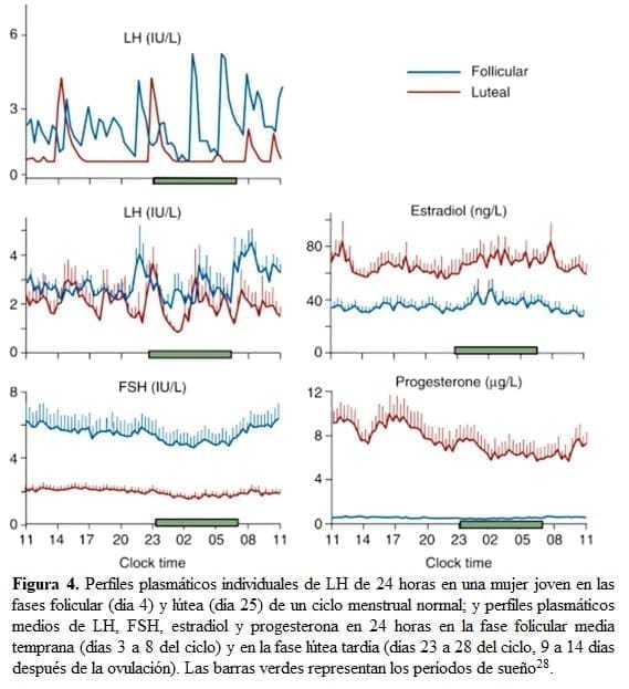 Perfiles Plasmáticos Individuales de LH de 24 horas en una mujer Joven Perfiles Plasmáticos Individuales de LH de 24 horas en una mujer Joven
