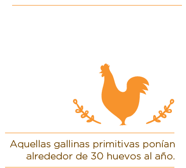 Gallinas primitivas - cartilla tu corazón la rompe