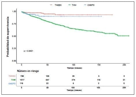 Gráfico de Kaplan-Meier pacientes con tumores neuroendocrinos del apéndice cecal Gráfico de Kaplan-Meier pacientes con tumores neuroendocrinos del apéndice cecal